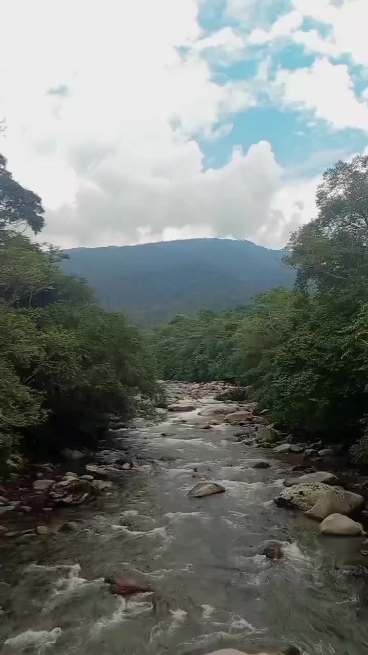 @María Paula Solarte.
