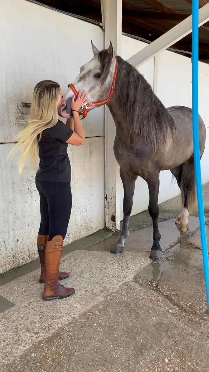 @Izabellasvarddressage