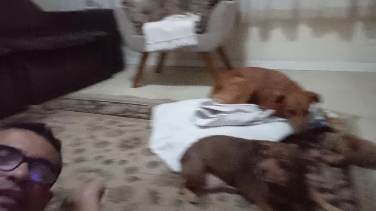 @Maozinha Souza