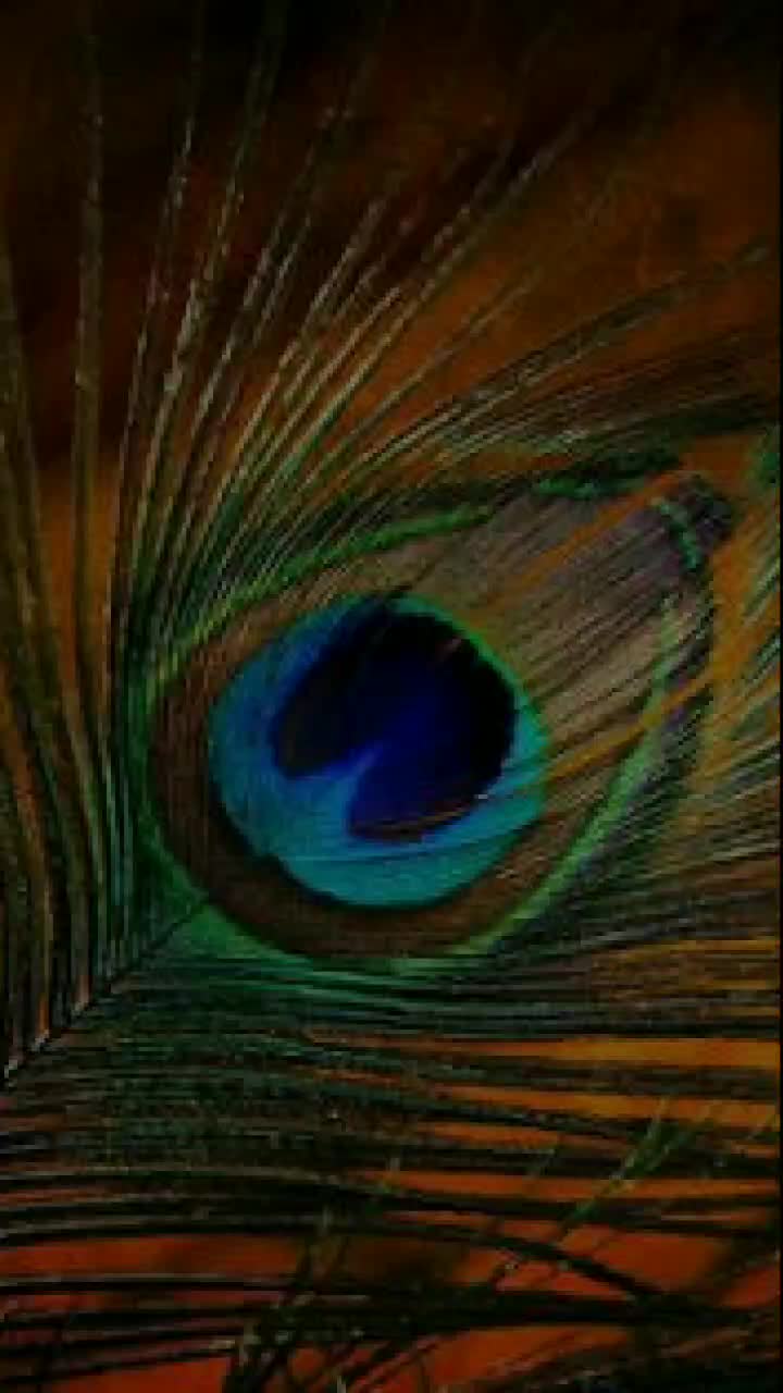@riddhibhardwaj1315