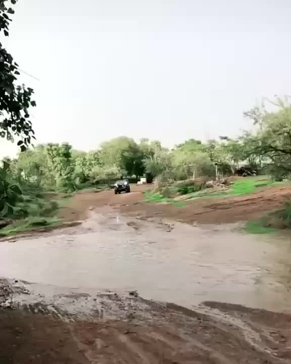 @thecarlover