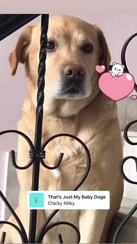 @@sanberrybee