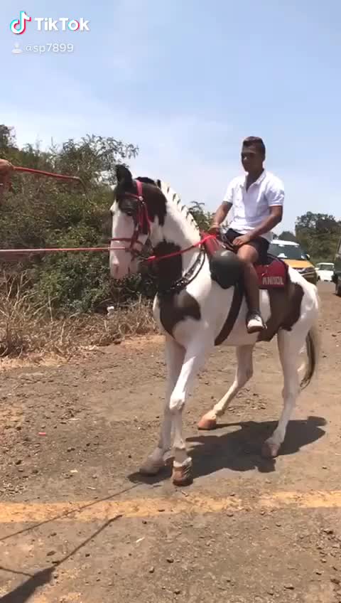 @Sp7899