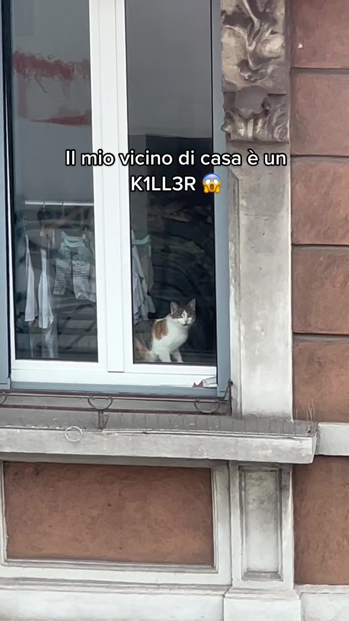 @Leonardo