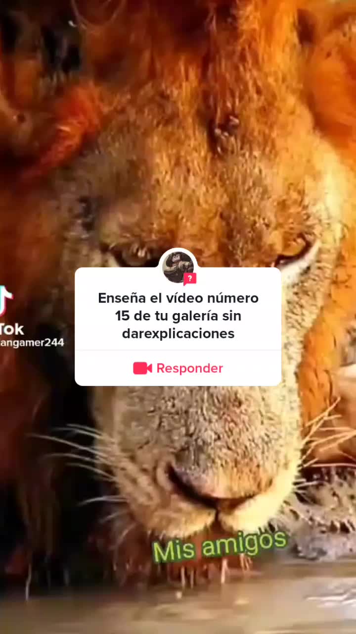 @a nadie