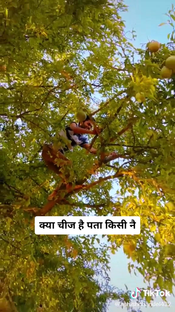 @सिंगर nikka bhati