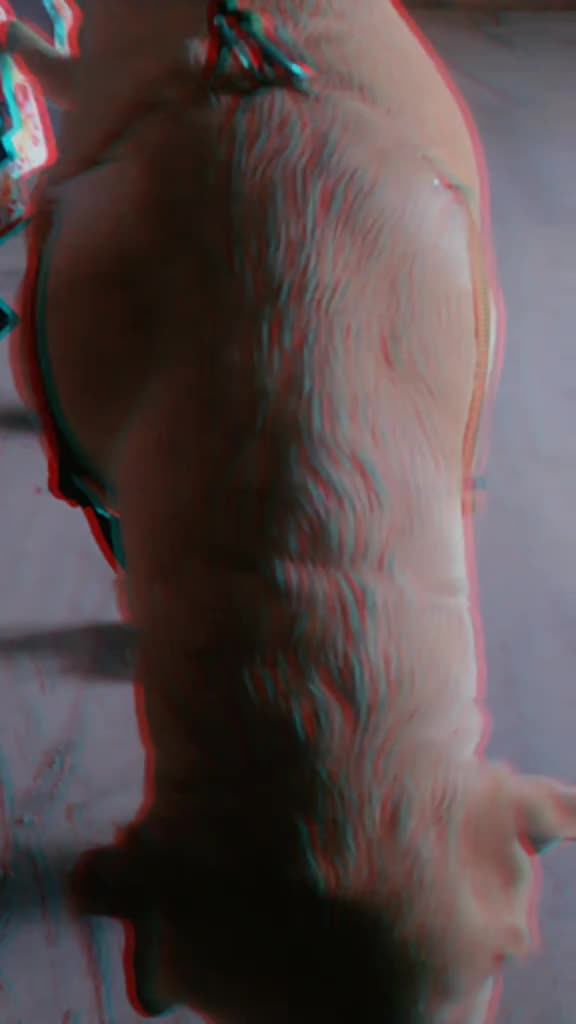 @namith____