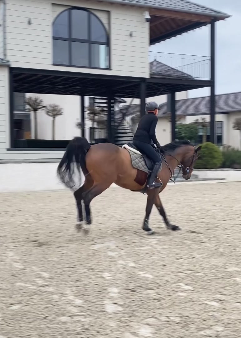 @Jennifer Hochstadter 🇱🇮