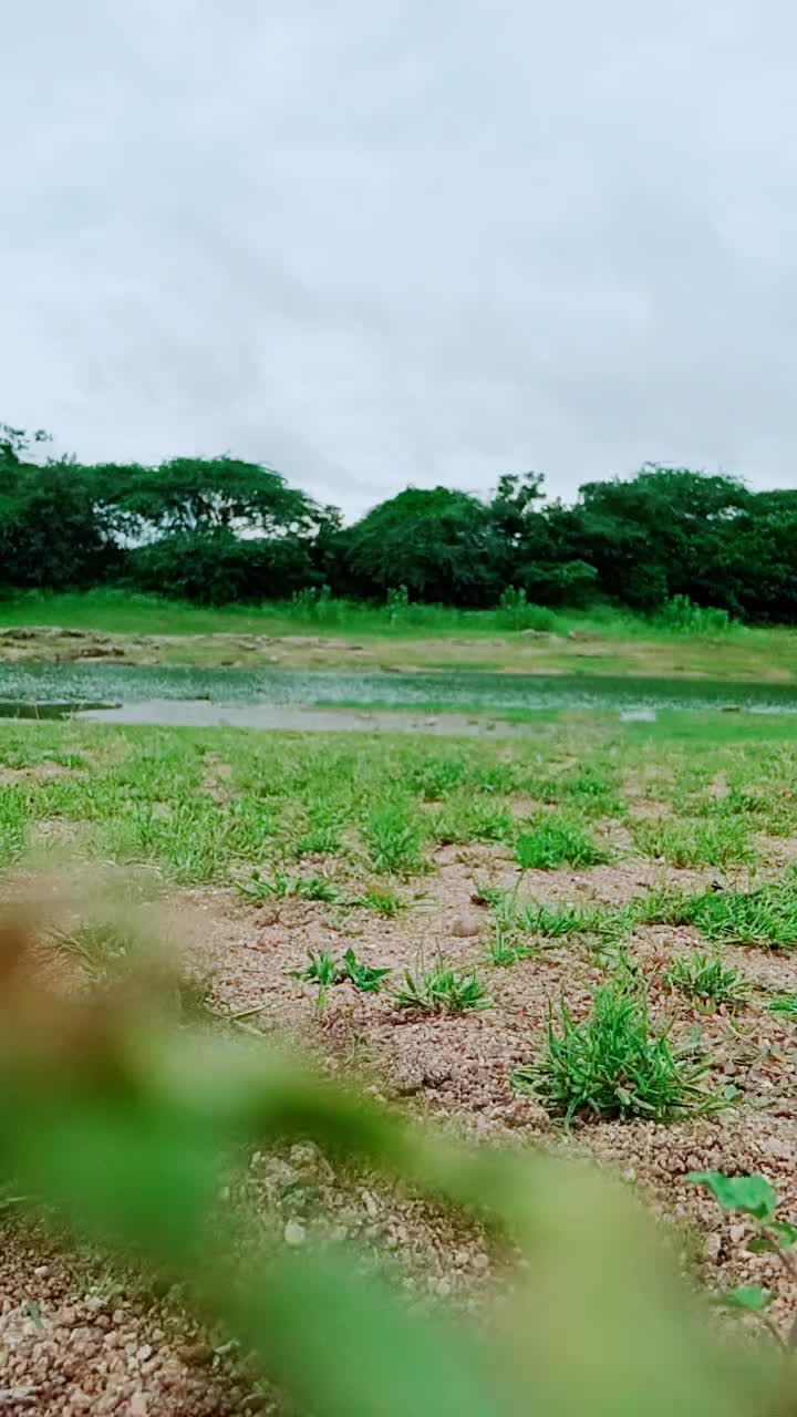 @Raj Nagraj
