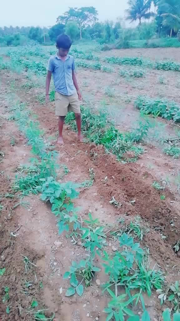 @Varun Shetty H