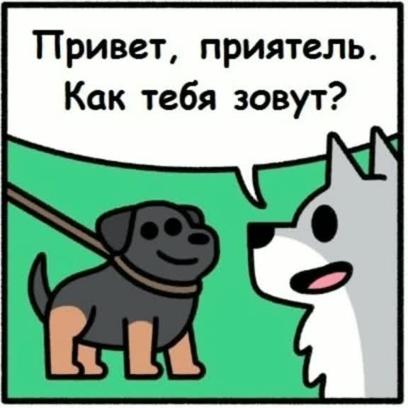 @Memees