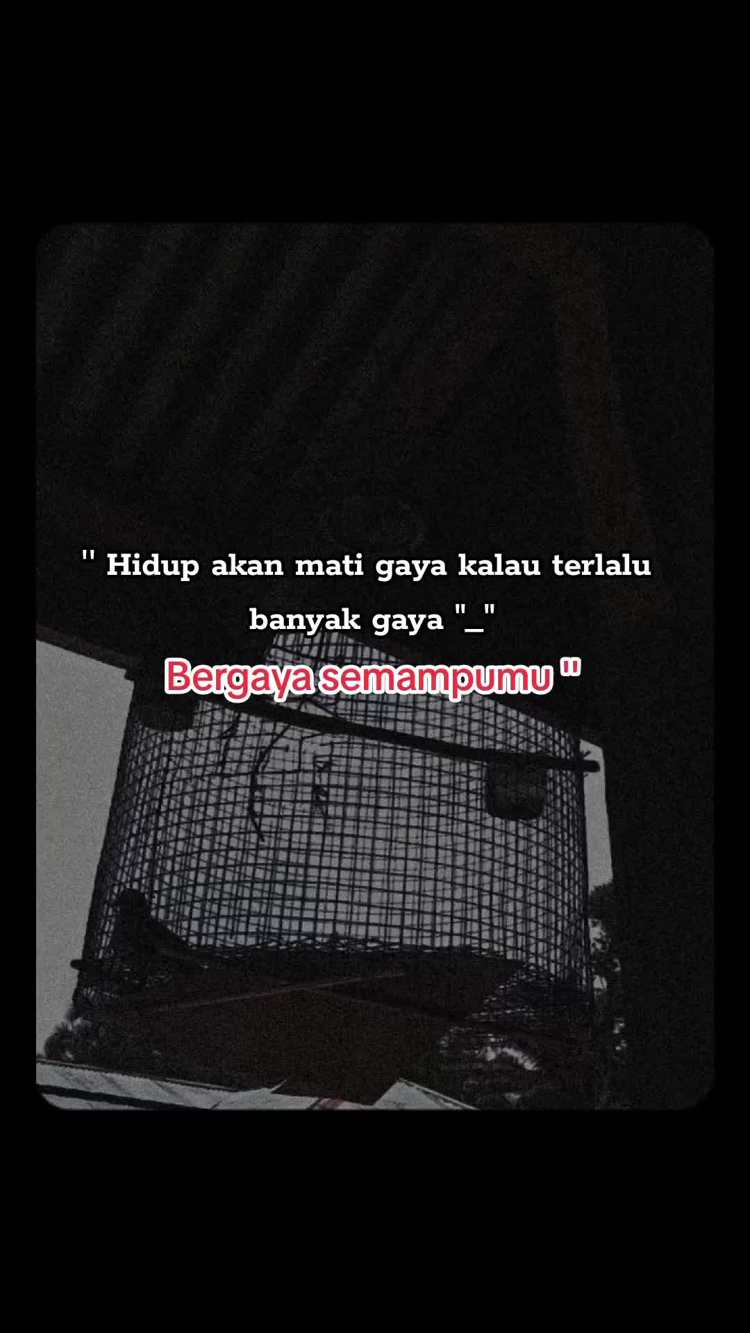 @Luki