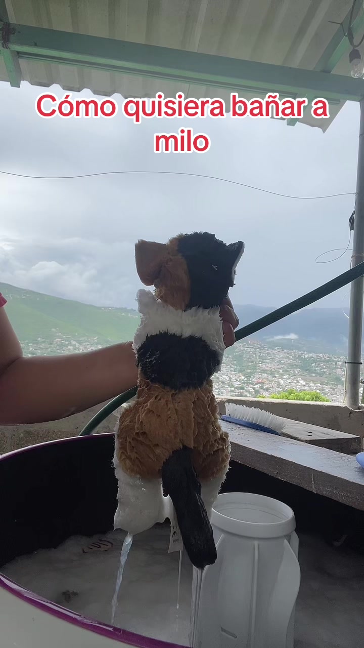 @Gavii Moreno💕