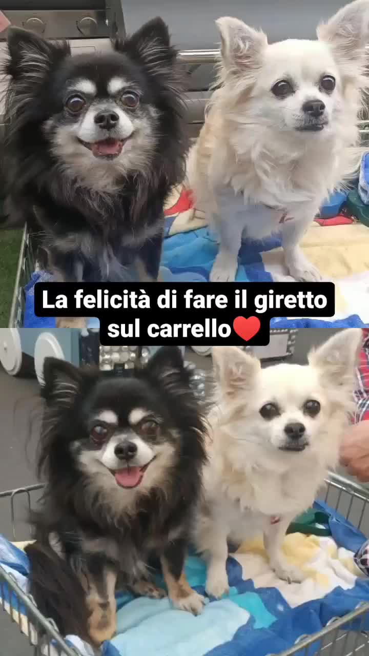 @Monica Casagrande