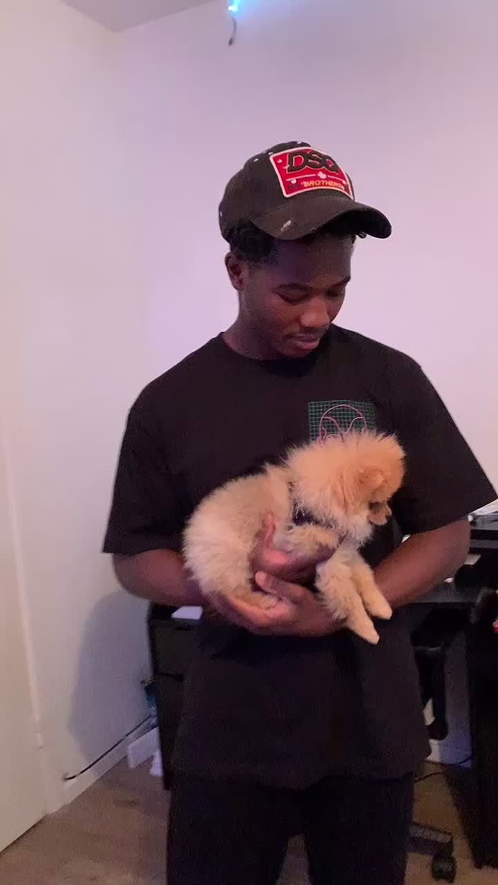 @Fredo.HH
