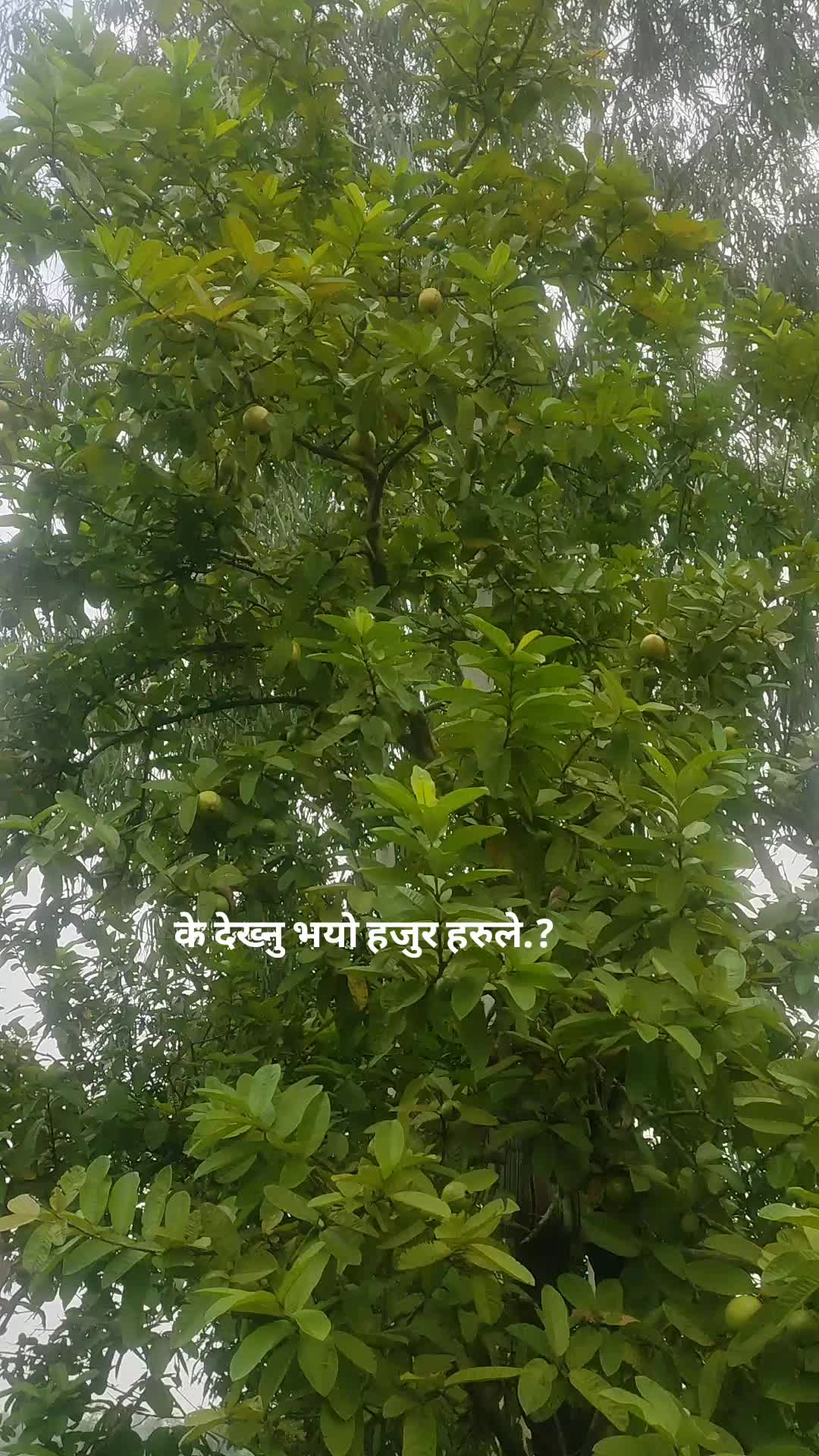 @Lokendra Khadka