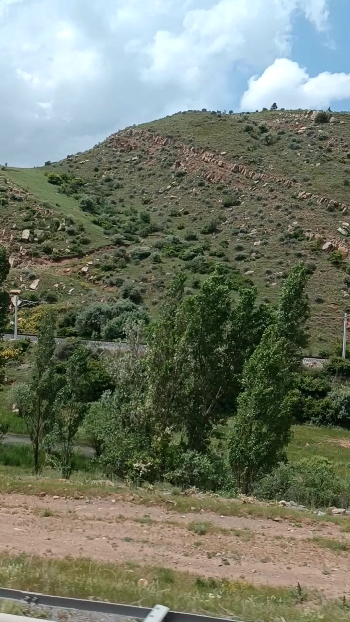 @bahri kaya