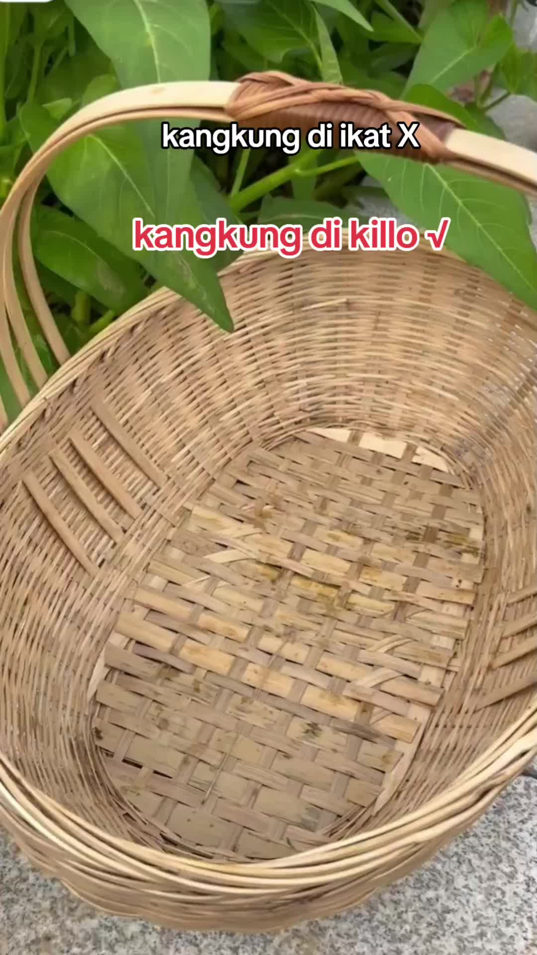 @hanifarm