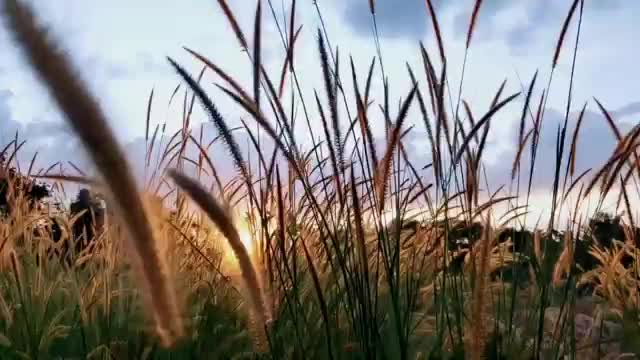 @Sangeeth-Kumar