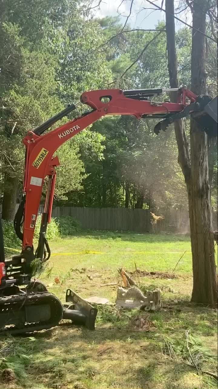 @Chads Tree Service