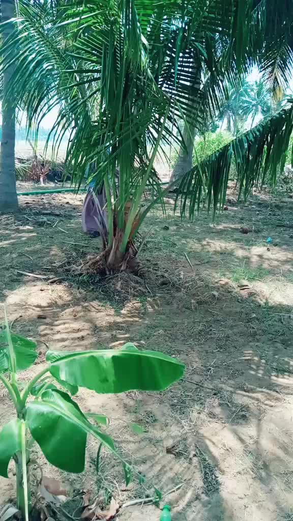 @Asal Kumar