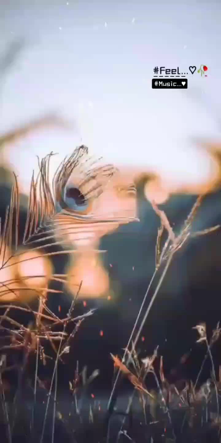 @𝖆𝖒ཞ__𝖘ཞ___302