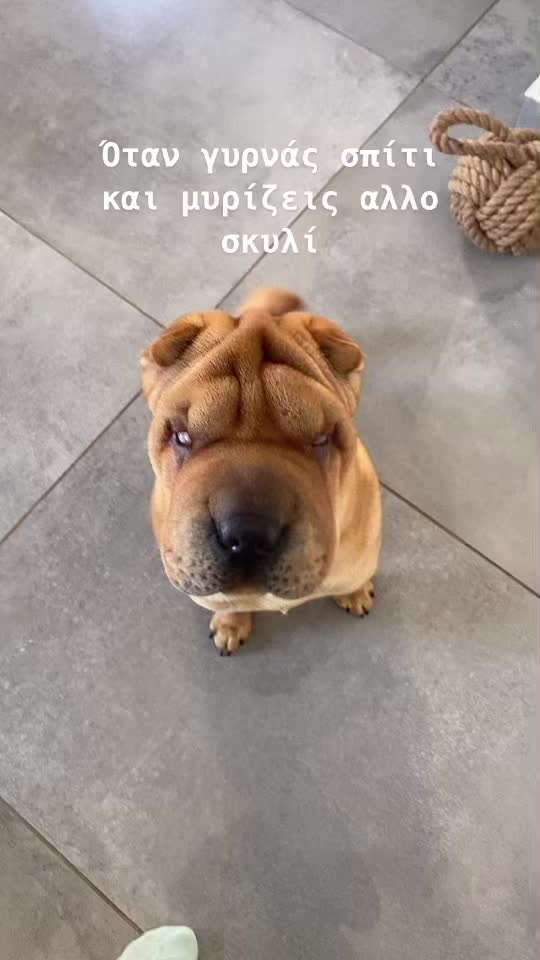 @Τζενη Κριτή