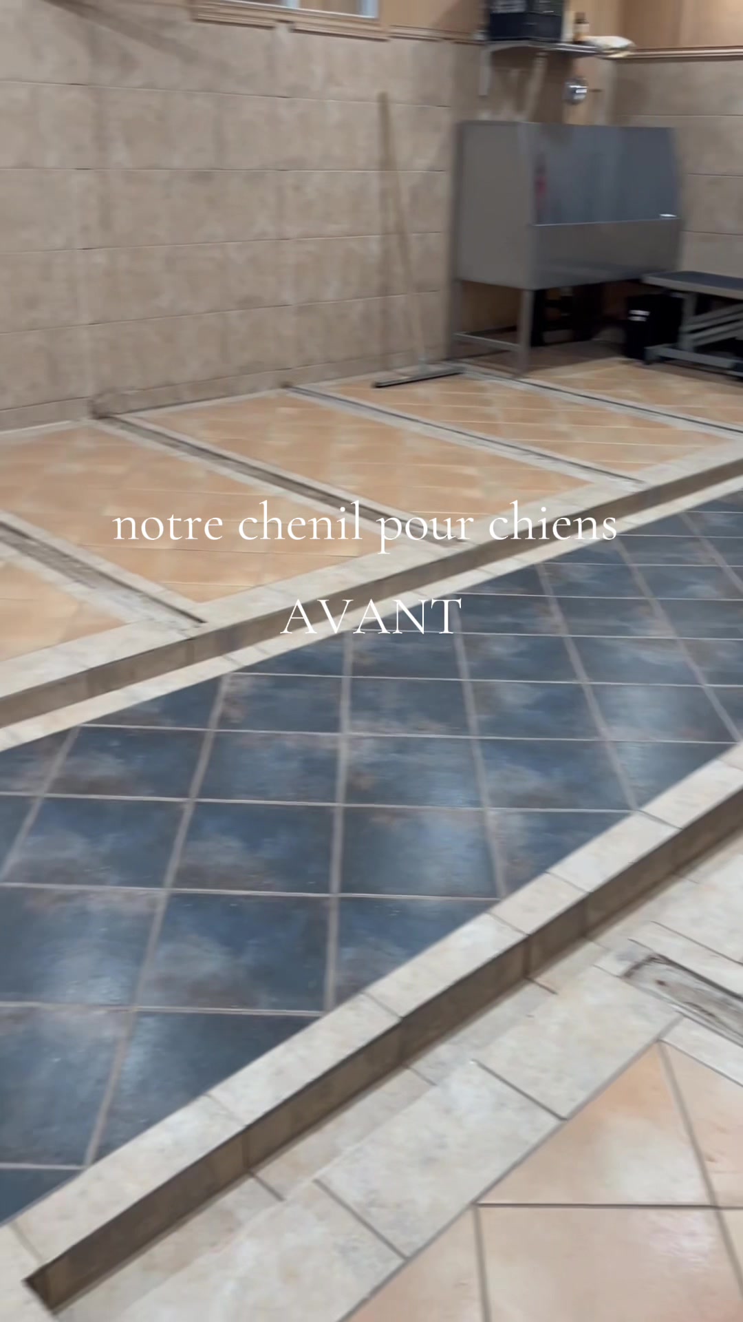 @centrecanindesruisseaux