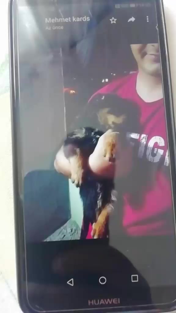 @Mehmet &Ccedil;il