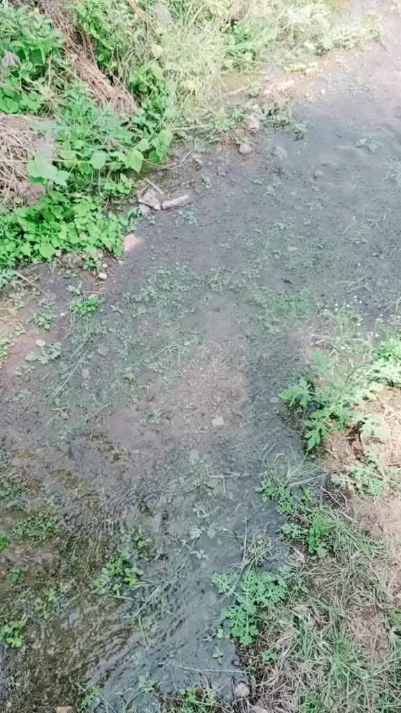 @vadivel123p