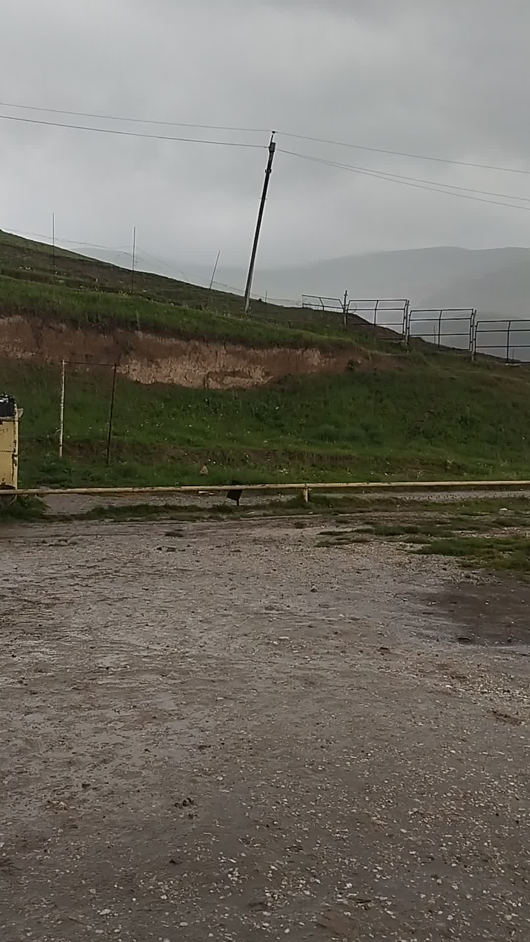 @Buğa bürcü