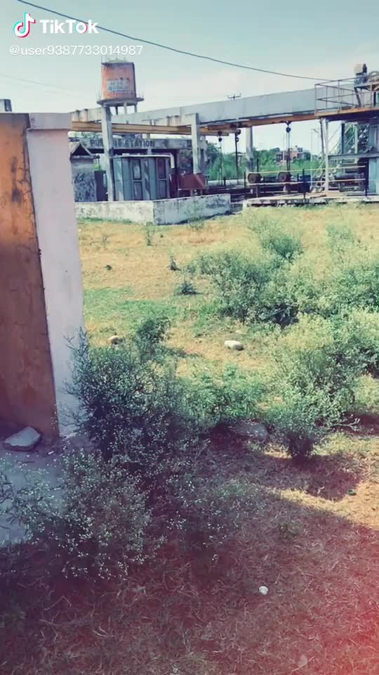 @Ajay Rajput_jko2 ale