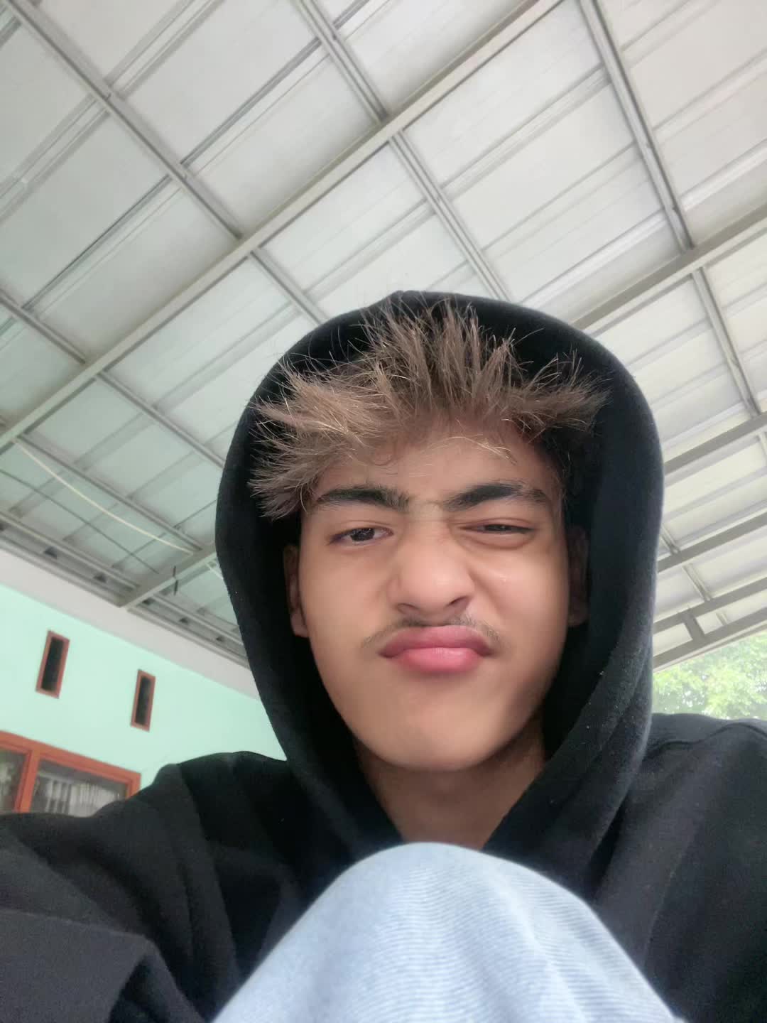 @shetwizz