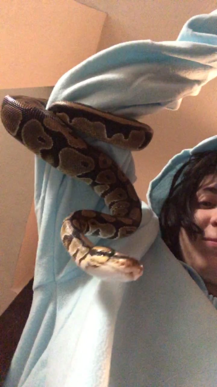 @alcoholicaligator