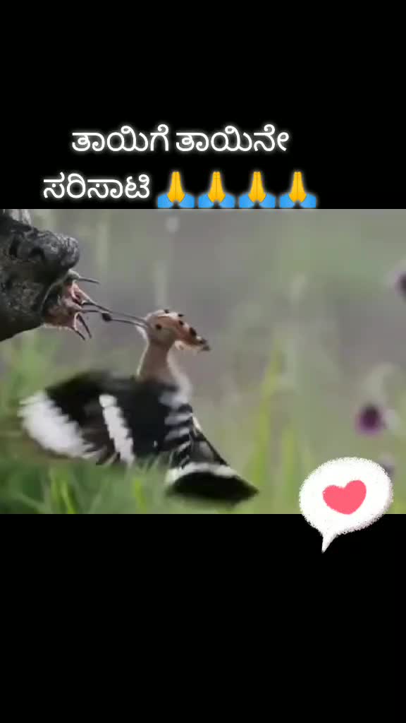 @sari nagu📱,🎧🎶🎵