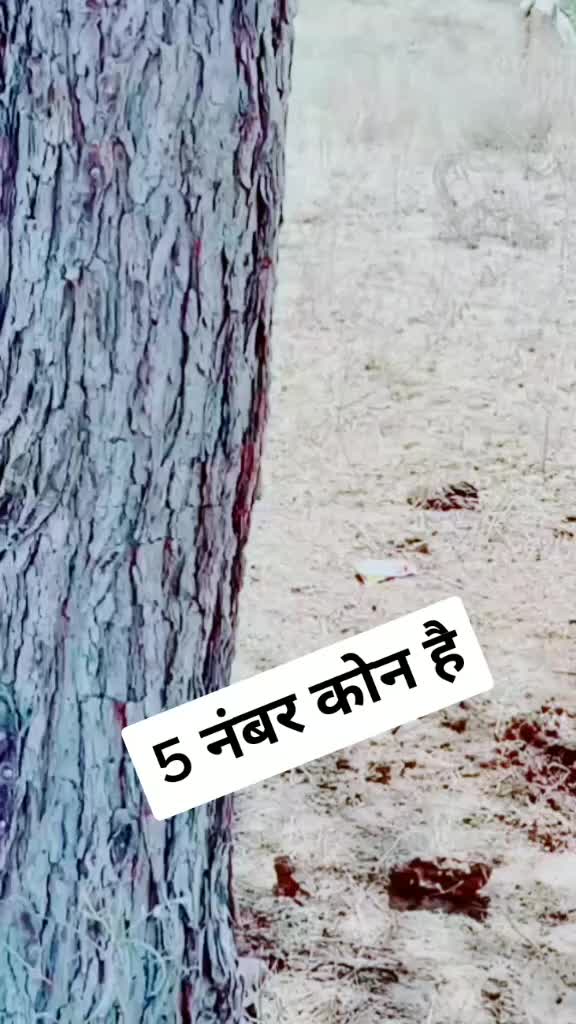 @💥 TEAM RAJSTHANI⚡