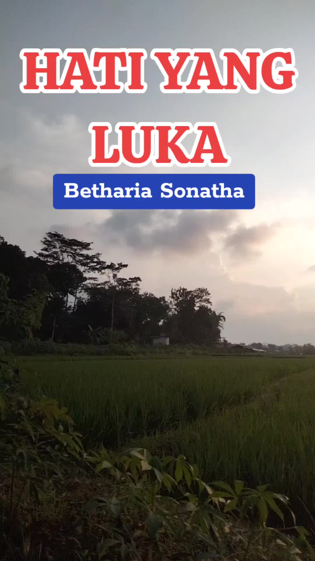 @rostikanoor