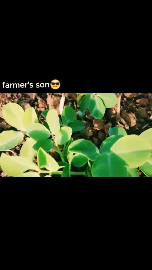 @Ranj4444