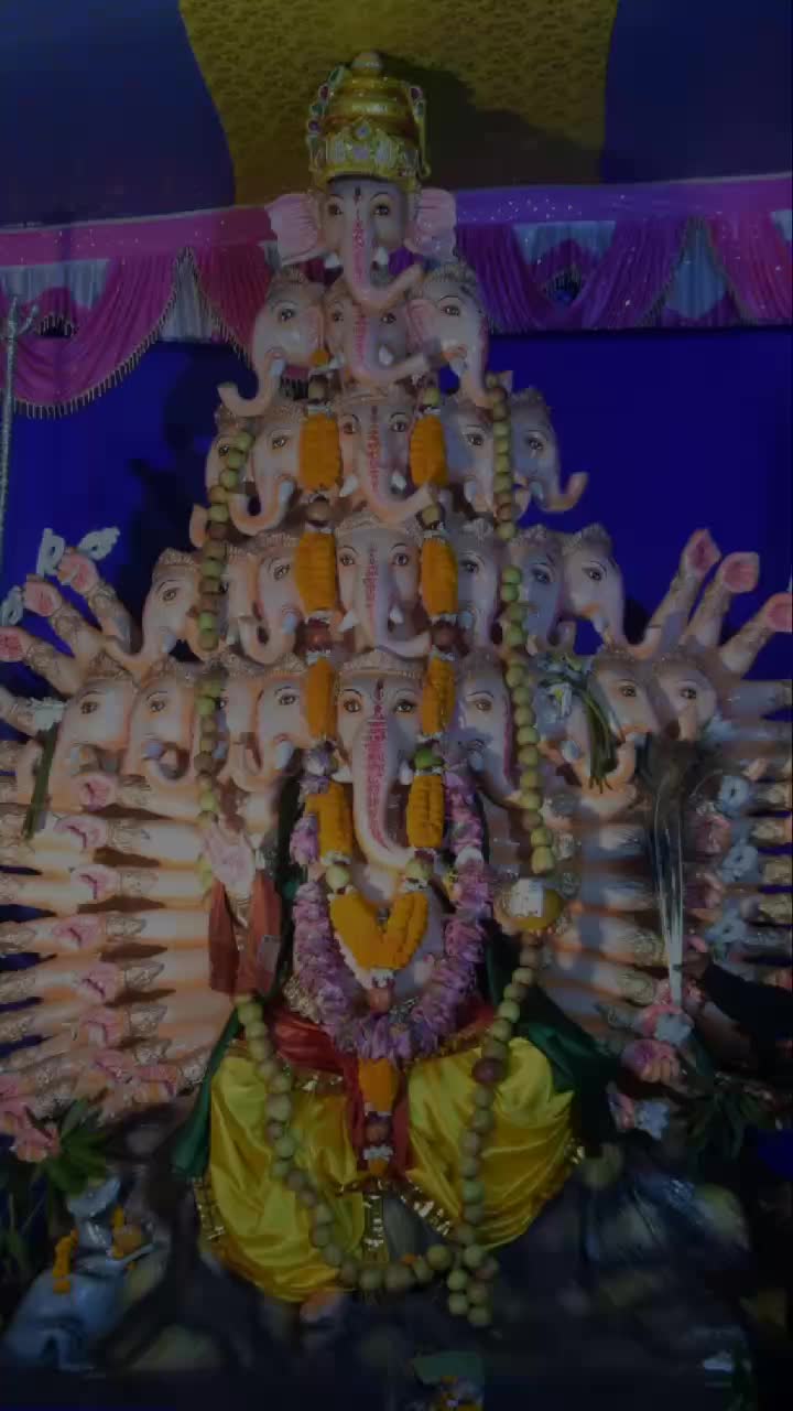 @VIGNHARTA