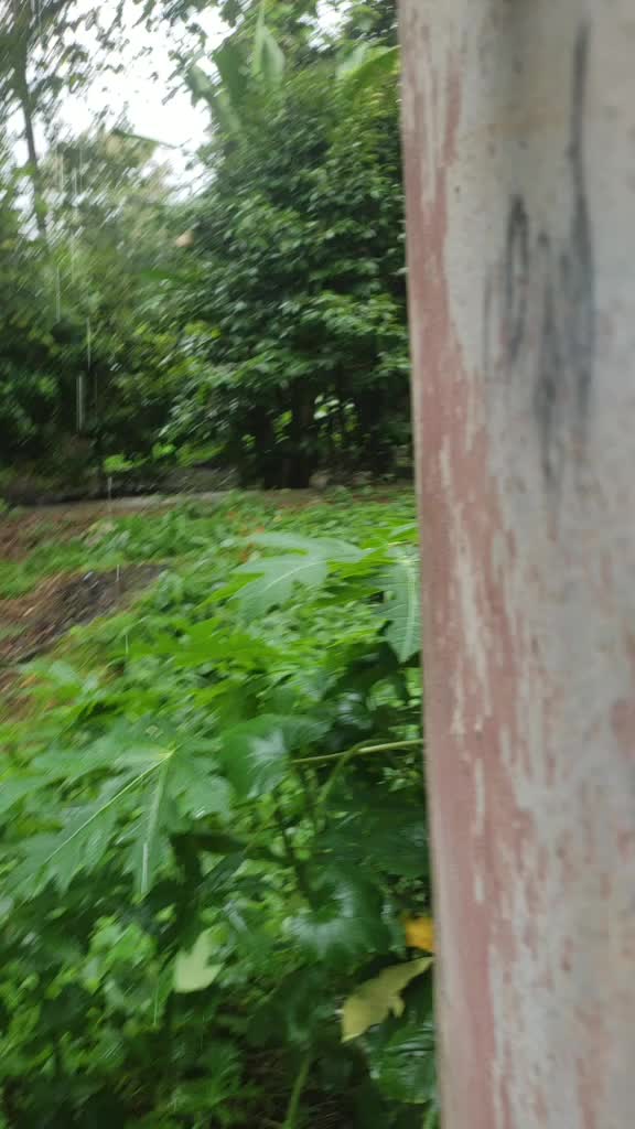 @അസുരൻ