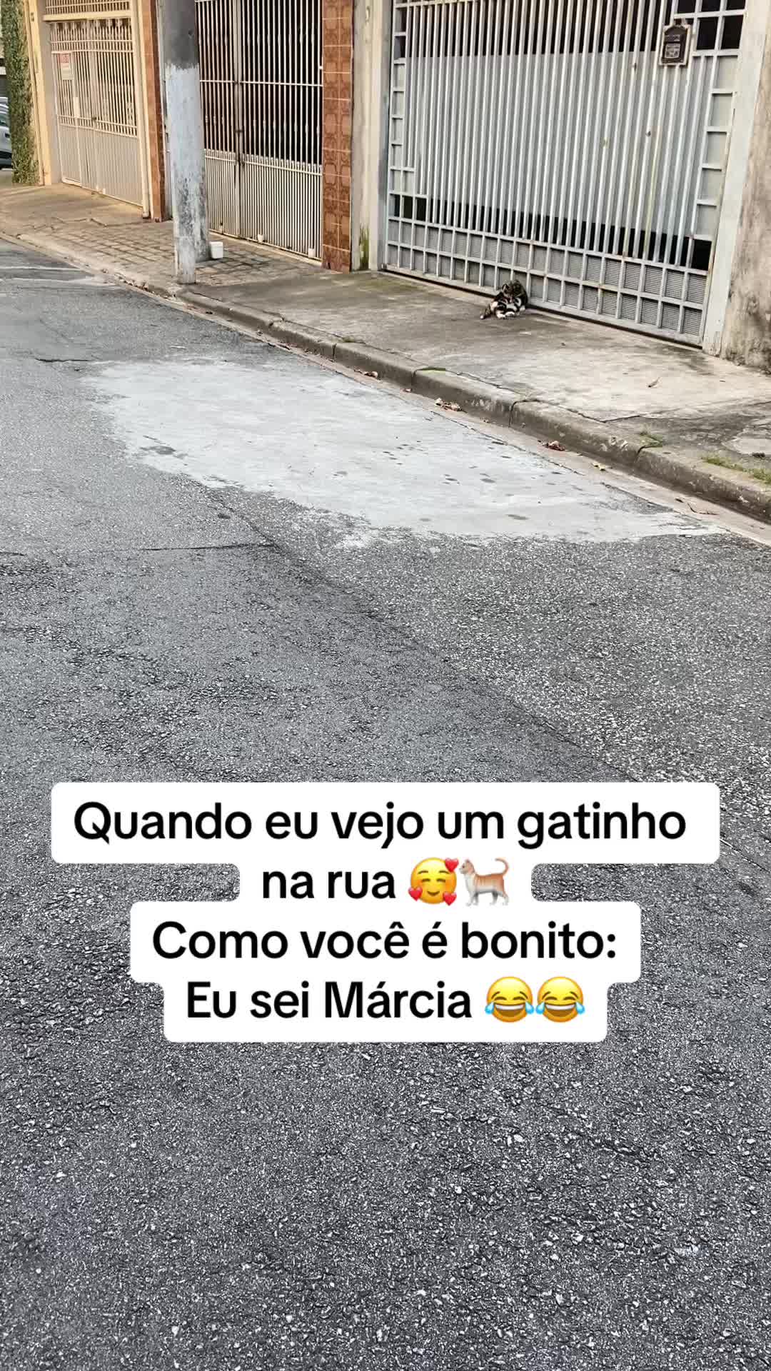 @Paula Cardoso