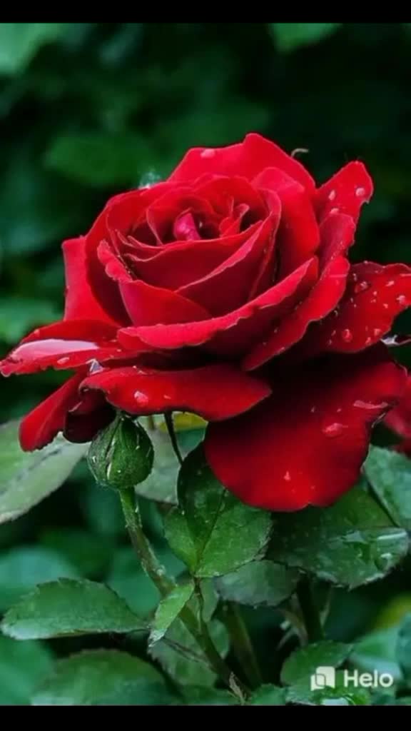@❤pooja❤