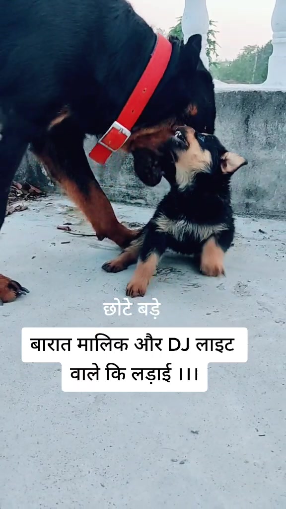 @Shivam Som