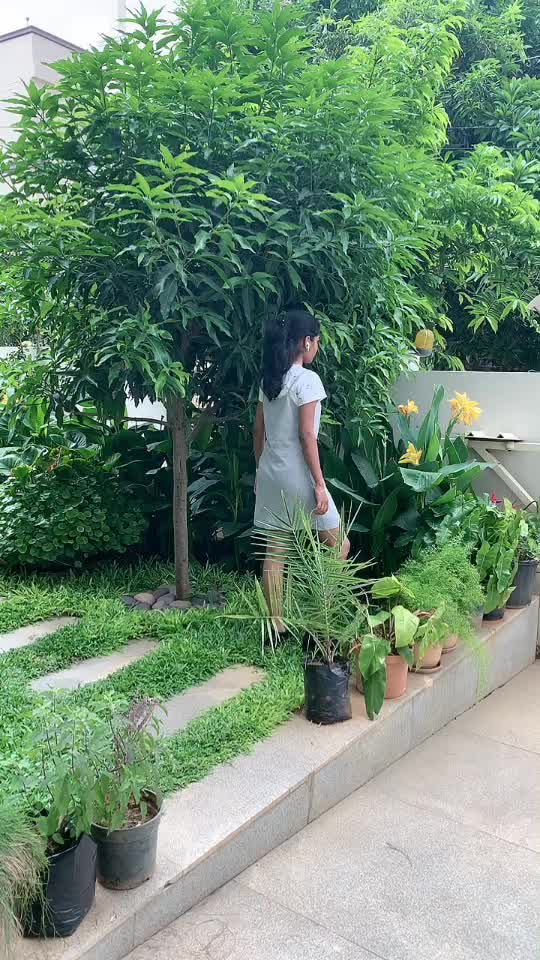 @shreya_rawalkol