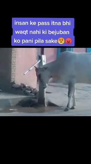 @duttdeepika