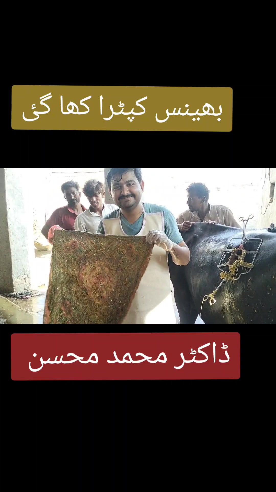 @Dr.Mohsin