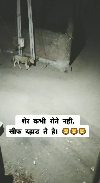 @nikunj kathrotiya