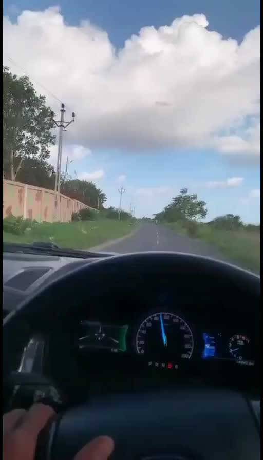@thecarlover