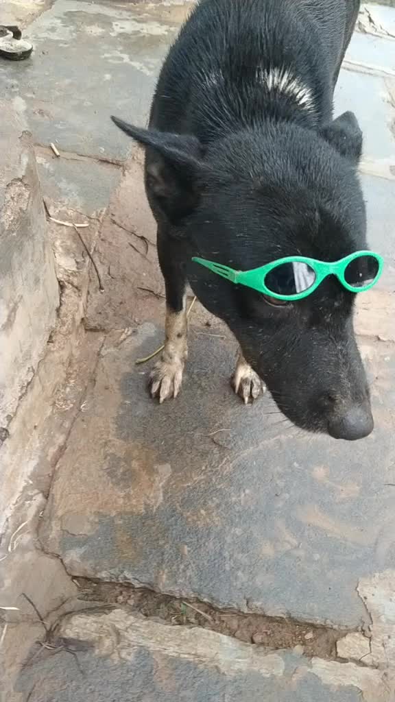 @kunal 0064