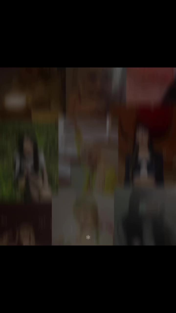 @sasha.blouse.gf